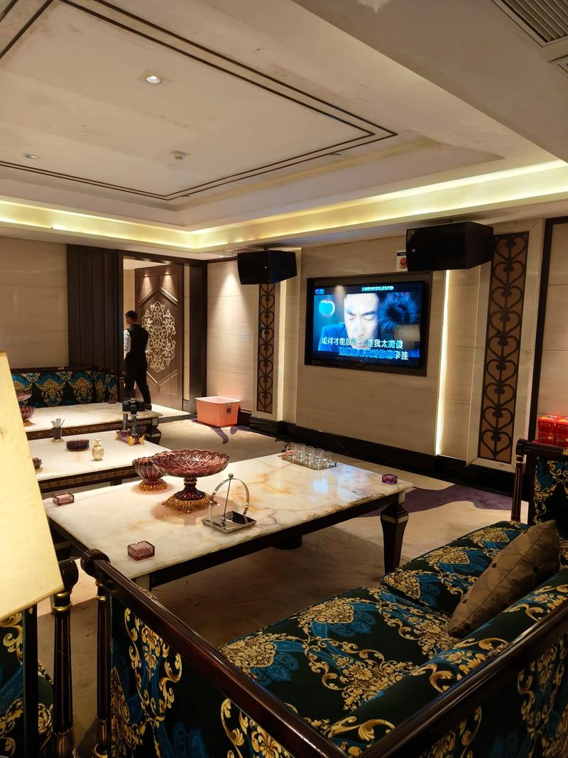 衡阳商务ktv创新模式-珠晖区ktv预定